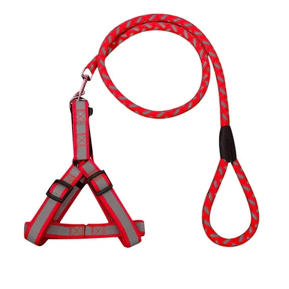 Shldybc Dog Collar & Heavy Duty Nylon Rope Leash